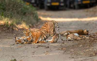 Chilla Wildlife Sanctuary